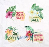 水彩绘热带花卉夏季促销标签