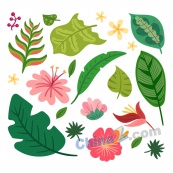 热带花卉和叶子免费矢量