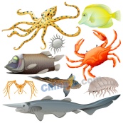矢量手绘海洋动物素材下载