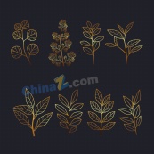 手绘金色植物树叶插图