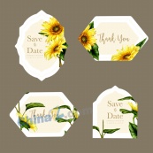 水彩向日葵结婚矢量标签系列
