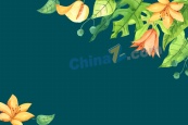水彩植物树叶装饰矢量背景图