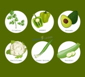 绿色有机健康蔬菜食材矢量