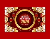 奢华2025春节新年快乐矢量海报