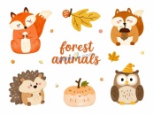 可爱秋日动物合集矢量插图