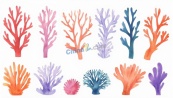 水彩海洋珊瑚海藻矢量素材