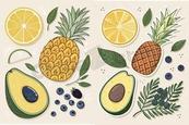 手绘热带菠萝水果合集矢量素材