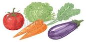 手绘水彩蔬菜食材合集矢量素材