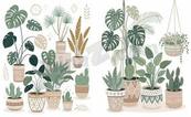 室内绿植盆栽插画合集矢量素材