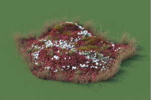 花园景观3D模型