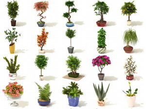 64款3D室内植物花草
