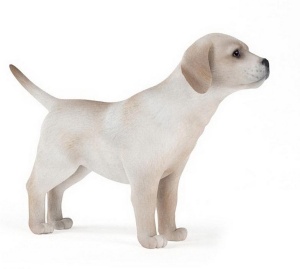 宠物狗3D模型效果图