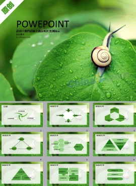 蜗牛与绿叶ppt背景图片