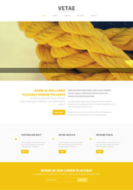 黄色清爽主题网站模板