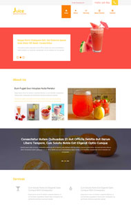 休闲果汁饮料网站模板