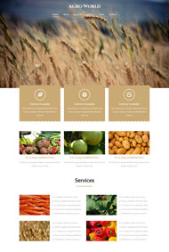 小麦种植技术招商网站模板