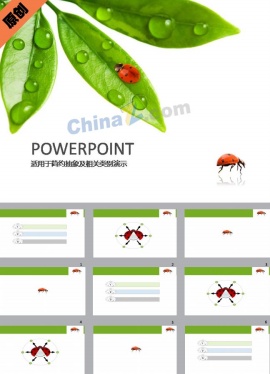 七星瓢虫ppt模板下载
