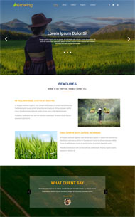 水稻专业收割机构网站模板