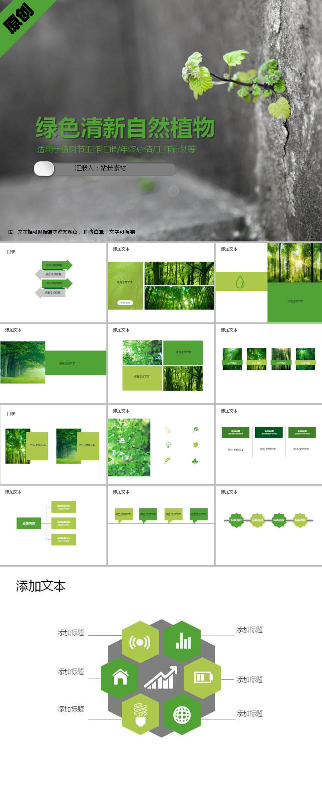 绿色清新自然植物ppt模板