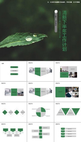 文艺清新绿叶下半年工作计划ppt模板