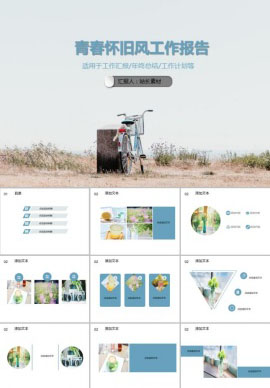 青春怀旧风个人商务工作报告PPT模板
