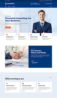 商业财务咨询网站模板