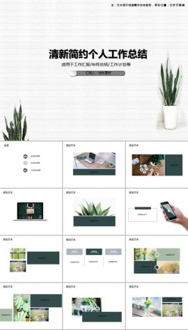 清新简约绿植个人工作总结PPT模板