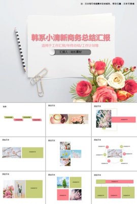 韩范小清新商务总结汇报PPT模板