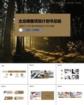 企业销售项目计划书总结PPT模板