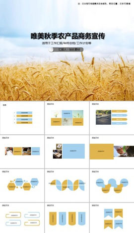 唯美秋季农产品商务宣传PPT模板
