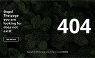 查找的页面不存在404模板