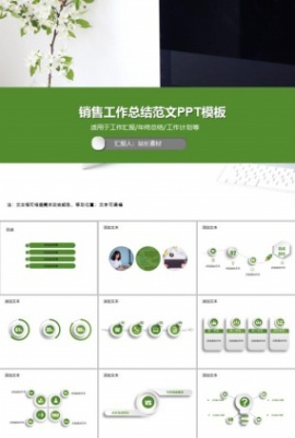 销售工作总结范文PPT模板