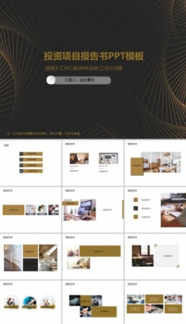 投资项目报告书PPT模板
