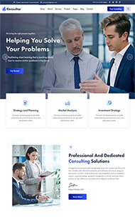 商业咨询解决方案HTML5模板