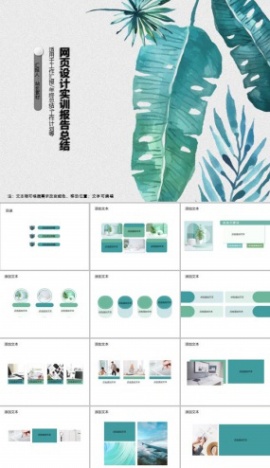 网页设计实训报告总结PPT模板