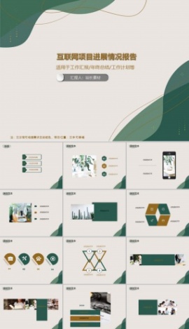 互联网项目进展情况报告PPT模板