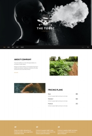 响应式烟草公司HTML5网站模板