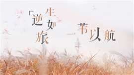 小清新简约唯美ppt模板