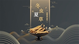 中医养生冬虫夏草中药PPT模板