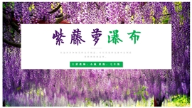 语文教学课件紫藤萝瀑布PPT模板