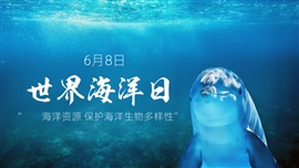 世界海洋日教学课件ppt模板