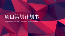 简约时尚商业项目策划书PPT模板