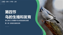 人教版生物八年级鸟的生殖和发育PPT模板