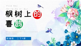 小学语文二年级《枫树的喜鹊》PPT课件