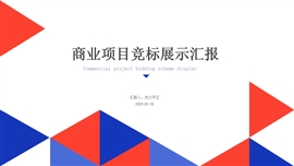 商业项目竞标方案展示PPT模板
