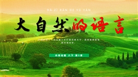 初中语文八年级《大自然的语言》PPT课件