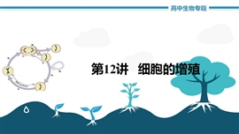 高中生物《第12讲细胞的增殖》PPT课件