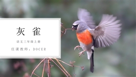 小学语文三年级上册《灰雀》PPT课件