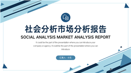 简约社会分析市场分析报告ppt模板