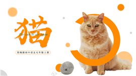 初中语文部编版七年级上册《猫》公开课PPT课件